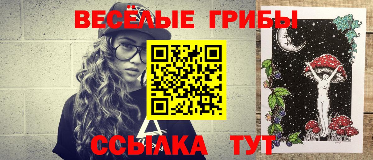 Галлюциногенные грибы Cubensis  Вход с VPN  Мончегорск 